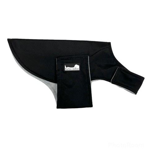Dachshund coat black diamond - dachshund,