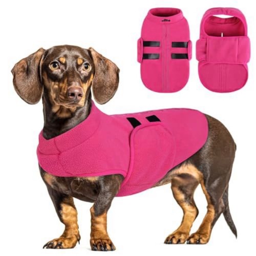 Queenmore dog sweater soft - sweater,,