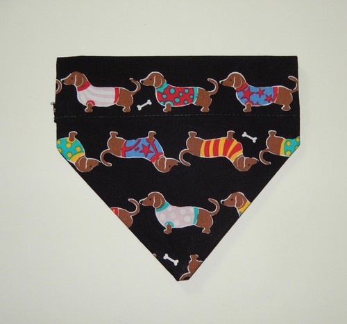 DACHSHUND