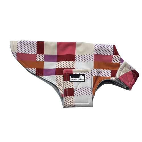 Dachshund coat raspberry - -,