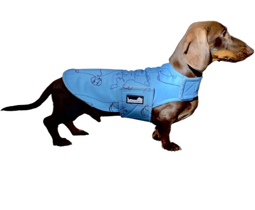 Dog coats winter waterproof - dog,