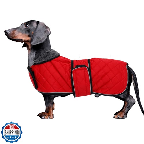 Dachshund coat dog coats - dog, for