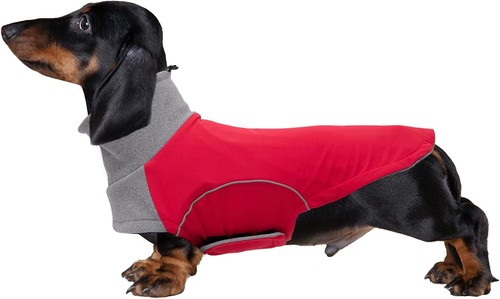 Dog winter coat for - winter,