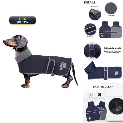 Geyecete dachshund dog winter - geyecete,