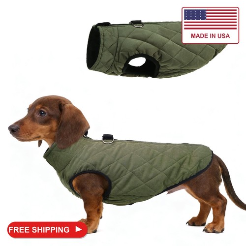 Scenereal dachshund winter - scenereal,