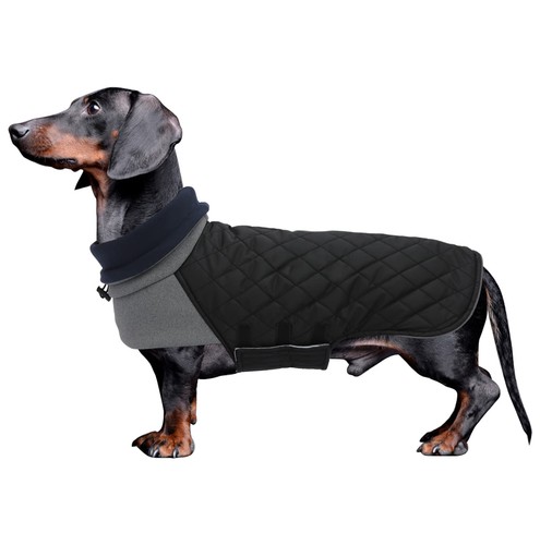 Geyecete dachshund winter coat - geyecete,