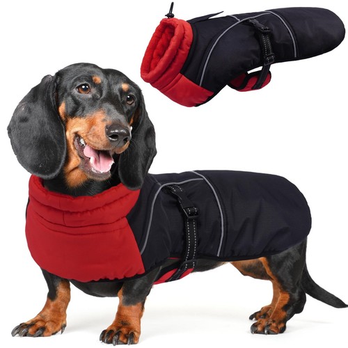 Dachshund coat warm fleece - coat,