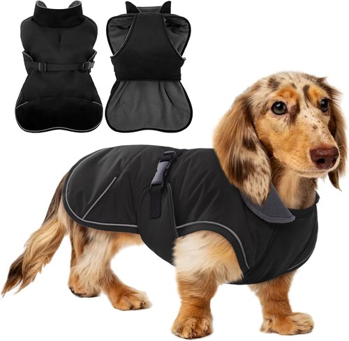 Dachshund coat with adjustable - coat,