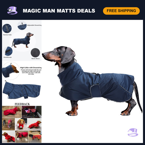 Waterproof dachshund winter - waterproof,