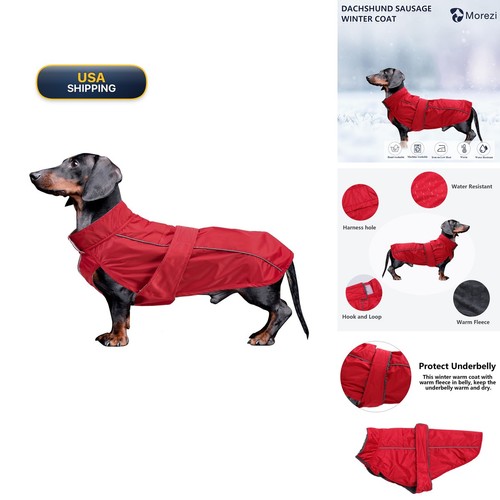 Morezi dachshund coat - morezi,